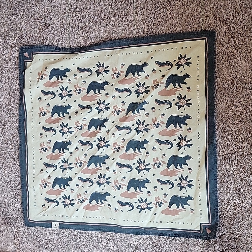 Landmarks Project bandana